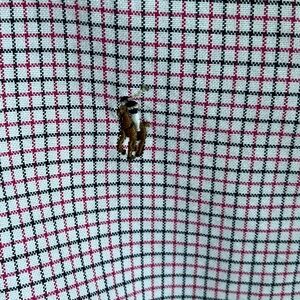 Ralph Lauren Check Black Red White Button Down Boys Size Large 14-16 EUC